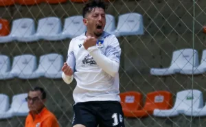 Siguiente