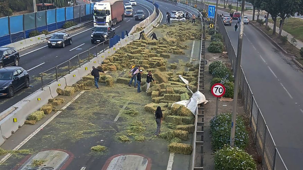 Trágico accidente en Autopista Central causa la muerte de una mujer - NHoy
